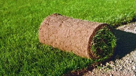 Turf собствените си ръце лежаха, лежеше, как да, съвети