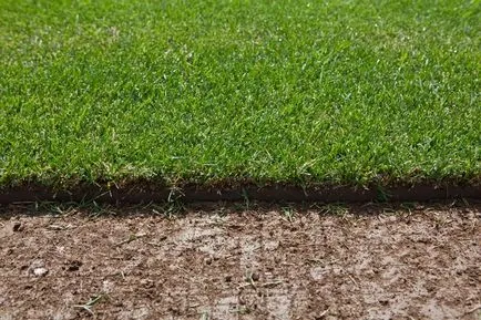 Turf собствените си ръце лежаха, лежеше, как да, съвети