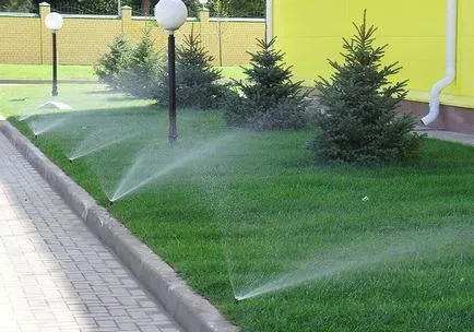 Turf собствените си ръце лежаха, лежеше, как да, съвети