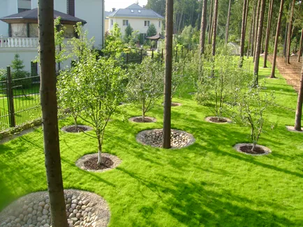 Turf собствените си ръце лежаха, лежеше, как да, съвети