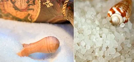 Салата с печени картофи, зеленчуци и домати