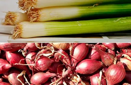 Салата с печени картофи, зеленчуци и домати