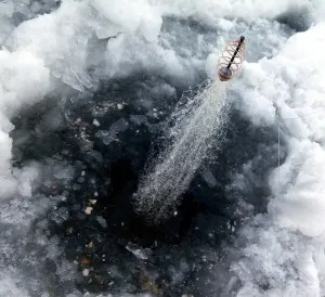 с улей мрежа