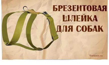 Впрегнете за кучета, подбор, видове, материали shleek