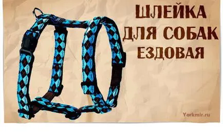 Впрегнете за кучета, подбор, видове, материали shleek