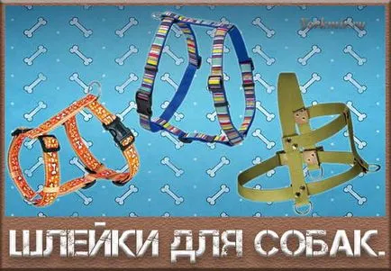 Впрегнете за кучета, подбор, видове, материали shleek