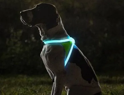 Впрегнете за кучета със собствените си ръце - dogcollar - боеприпаси и аксесоари за кучета