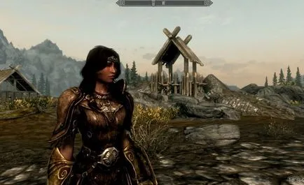 Skse за Skyrim как да инсталирате