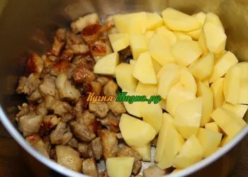 Solyanka с картофи и свинско месо с една стъпка по стъпка рецепти снимки