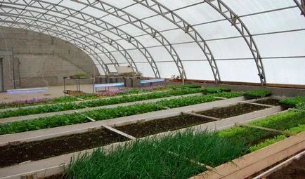 Слънчев vegetary Иванова оранжерии на ново поколение от скандинавски технология със собствените си ръце (оранжерийни) Слънчев vegetary Иванова оранжерии на ново поколение от скандинавски технология със собствените си ръце