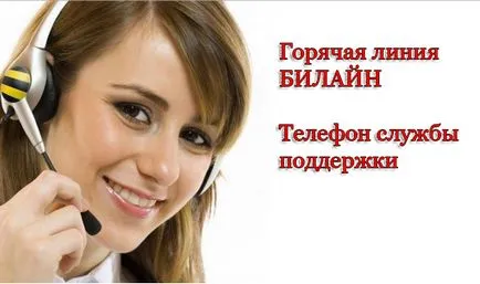 Как да се свържете с оператор Beeline директно (Beeline) Как да се свържете с Beeline директно