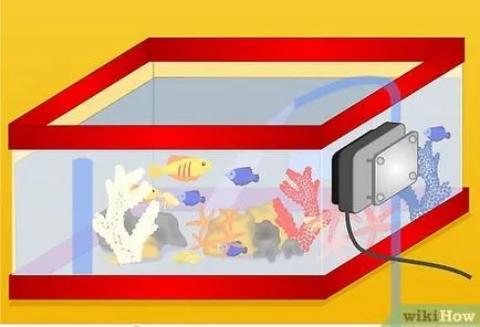 Как да създадете морски риф аквариум (аквариум) Как да създадете морски аквариум риф