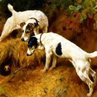 Стерилизация кучета плюсове и минуси (стерилизация на кучетата цена) Стерилизация кучета плюсове и минуси