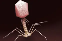Staphylococcus Haemolyticus мъже ефективни начини за лечение