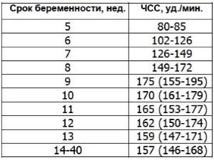Таблица на сърдечни тонове от седмица на бременността