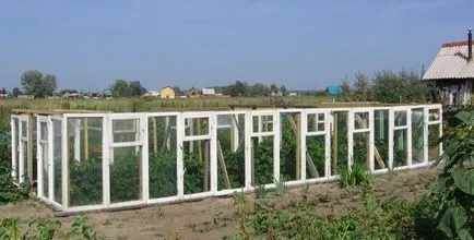 Greenhouse от стария дограма в страната