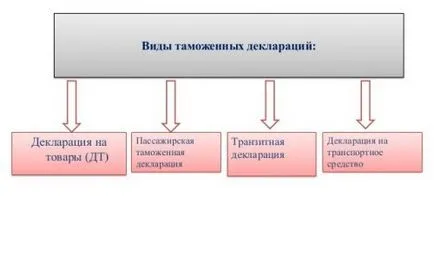 Митнически концепция декларация, видове, час и място на подаване на заявката, регистрация в електронна форма, в