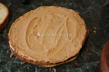Cake - чехъл