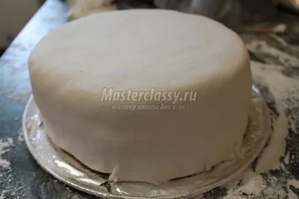 Cake - чехъл