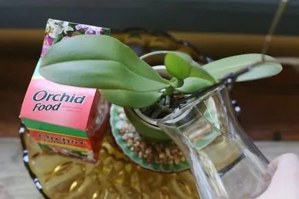 Тор за орхидеи в страната на обща информация от наторяване, pokon, Фуско, добросъвестен форте,