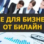 Услугата е стационарен номер Beeline прави цените на стаите, как да се купуват и свържа най-краткото разстояние