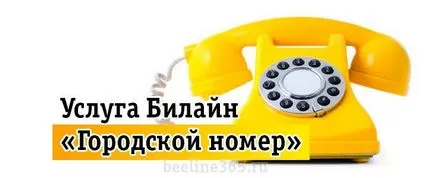 Service Beeline 