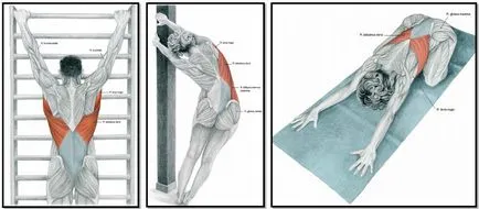 Стречинг упражнения или мускулите растат голям и много голям