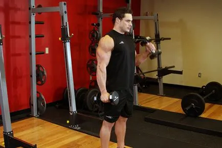 Упражнение чукове тайни, техники и грешки в изпълнението, trainingbody