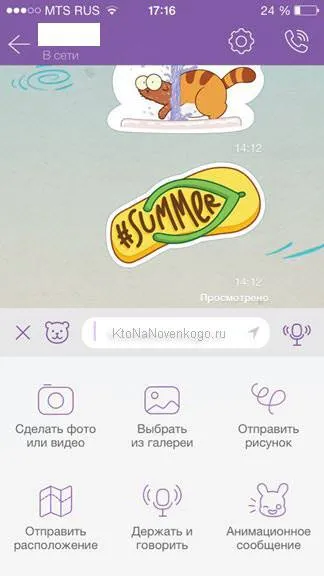 И Viber WhatsApp
