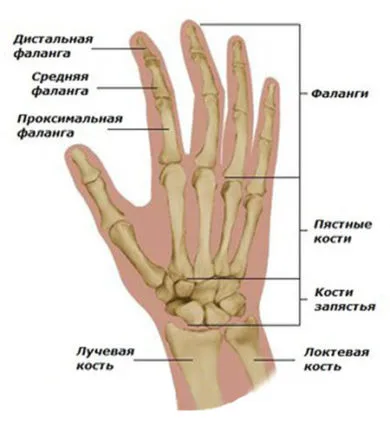 Почуках с пръст, какво да се прави в тази ситуация