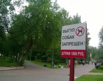 ходене на кучето в района, че законът казва, че за това, което на наказанията за разходка, където