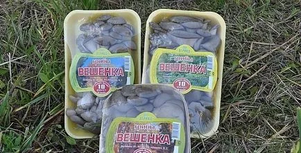 Отглеждане стриди гъби у дома технология - за подробности! (Условие) Отглеждане стриди гъби у дома технология - за подробности!