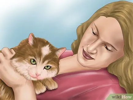 Как да говорим с котки