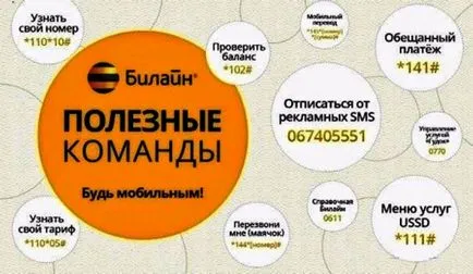 Как да разбера номера на телефона ми Beeline (Beeline) Как да разбера номера на телефона ми Beeline