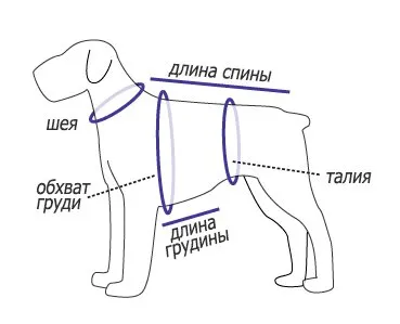 Плетени дрехи за кучета с ръцете си модели, описание на плетиво и семинари