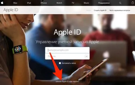 Всичко за идентификационен номер на Apple