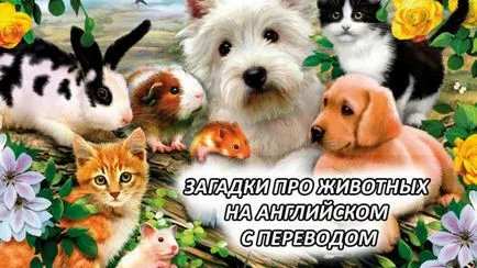Гатанки за животни на английски език с превод на 18 гатанки с отговори