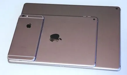 10 неща, които трябва да знаете, преди да купите IPAD професионалист - новини от света на ябълка