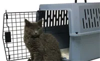 19 обяви, можете да започнете утре