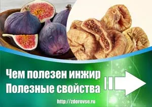 2018 година на животното кой, какво се срещнат в блога за здравето на жените