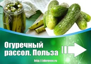 2018 година на животното кой, какво се срещнат в блога за здравето на жените