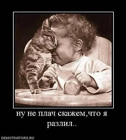 50 demotivators за всички поводи