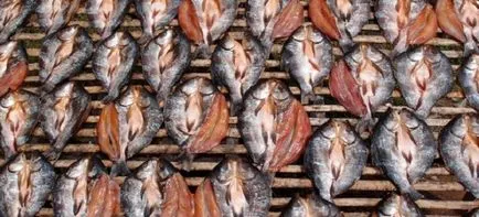 7-добрите начини за риба сушене и съхранение