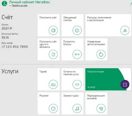 5051 Мегафон, че се деактивира как да управлявате