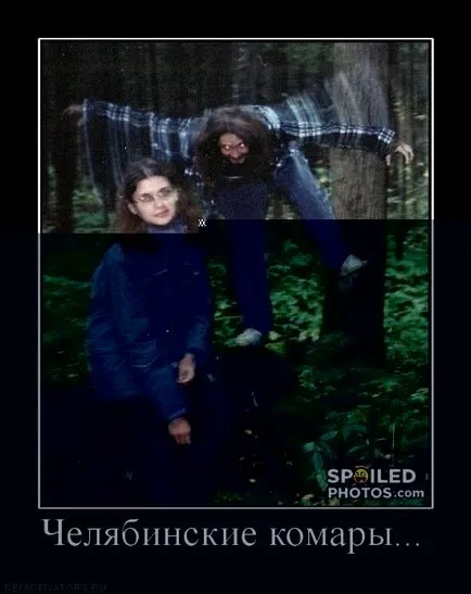 50 demotivators за всички поводи