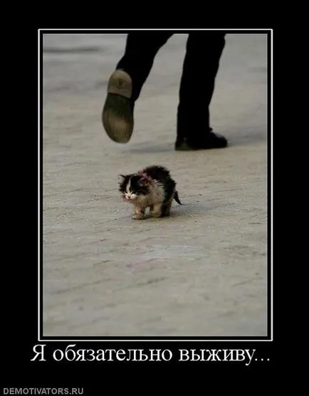 50 demotivators за всички поводи