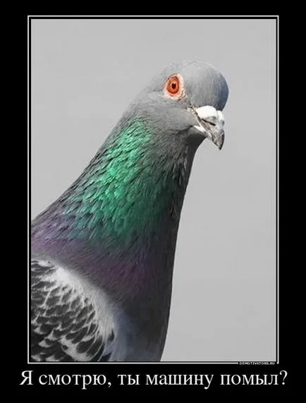 50 demotivators за всички поводи