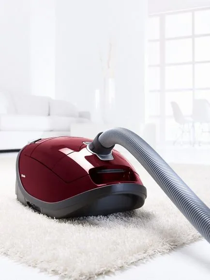 6-добрият прахосмукачка за собствениците на домашни любимци