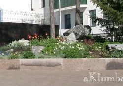 Алпийските пързалки с 50 снимки от най-красивите алпийски