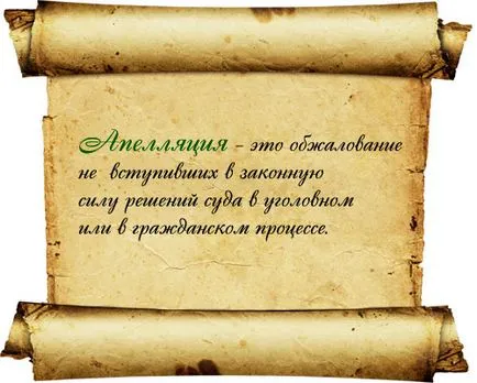 Обжалване и касационни жалби
